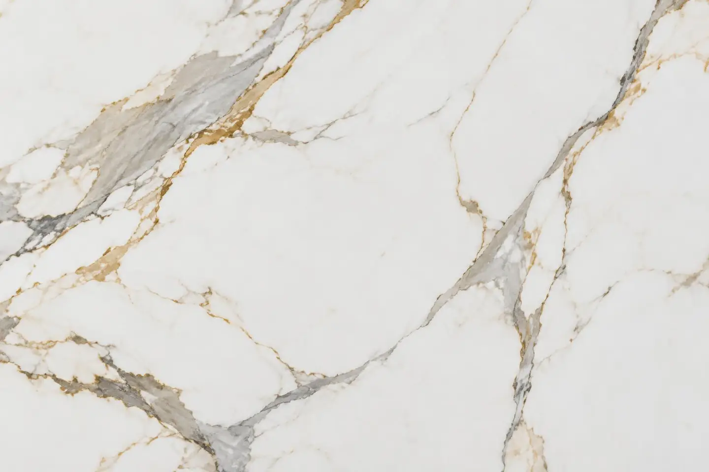 Tranche de Calacatta Gold, vue d'ensemble de la surface