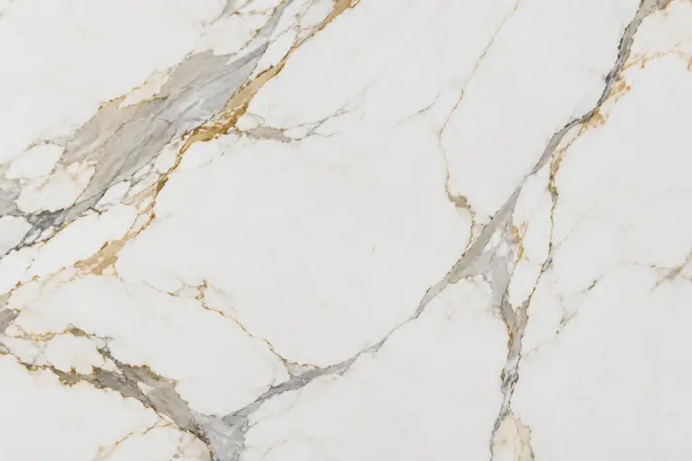 Tranche de Calacatta Gold, vue d'ensemble de la surface
