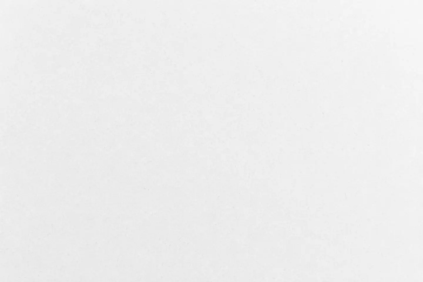 Tranche de Blanc Zeus, vue d'ensemble de la surface