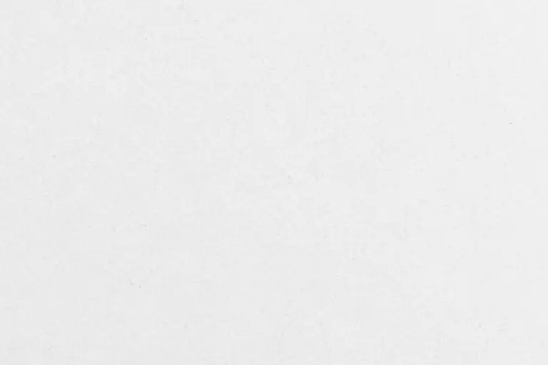 Blanc Zeus, détail du dessin de la pierre