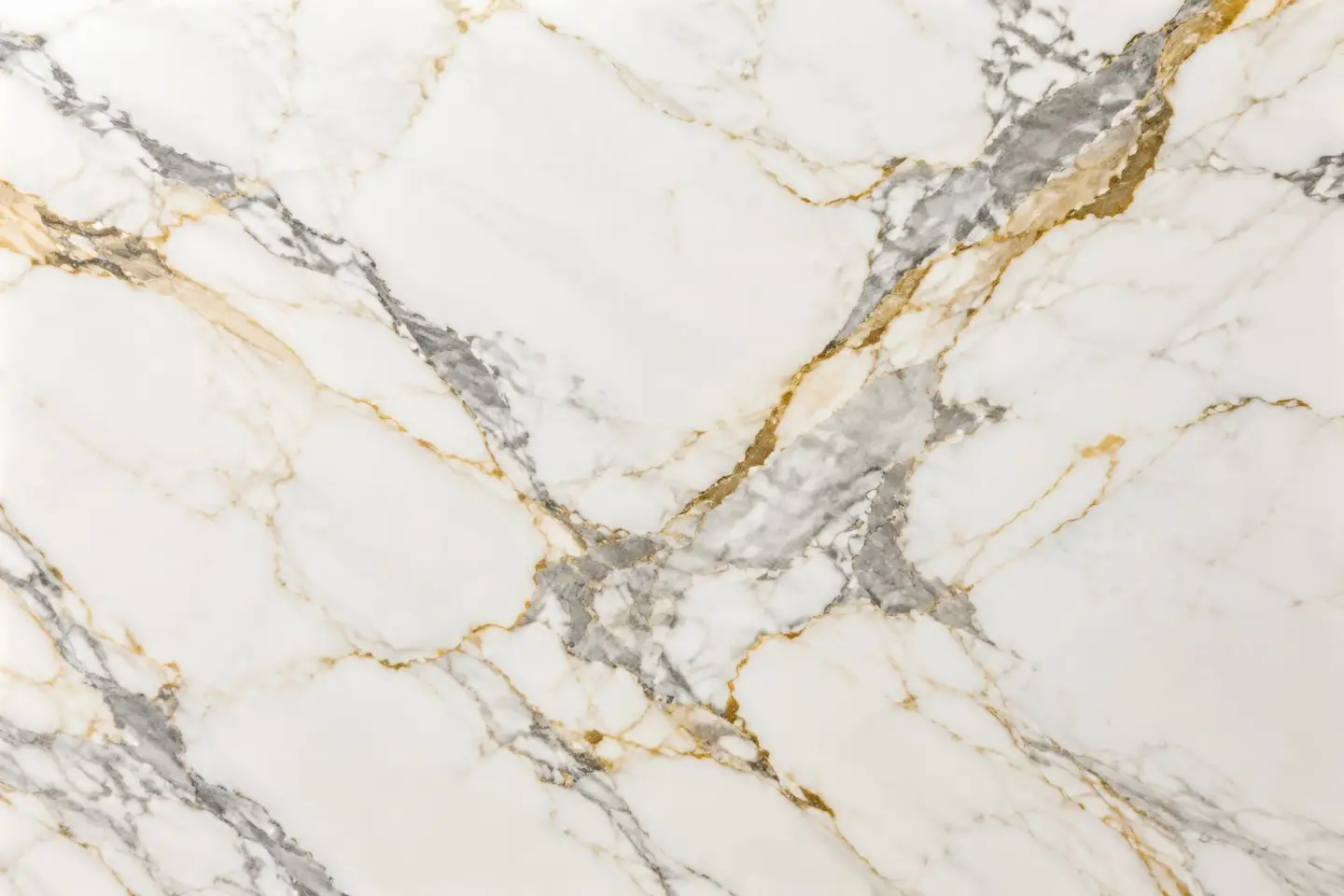 Tranche de Calacatta Gold, vue d'ensemble de la surface